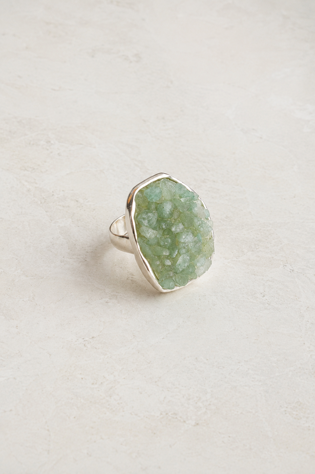 Anillo Selva