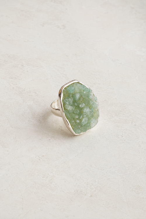 Anillo Selva
