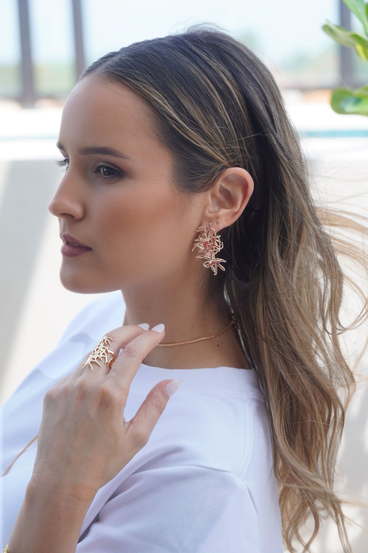 Aros Eden