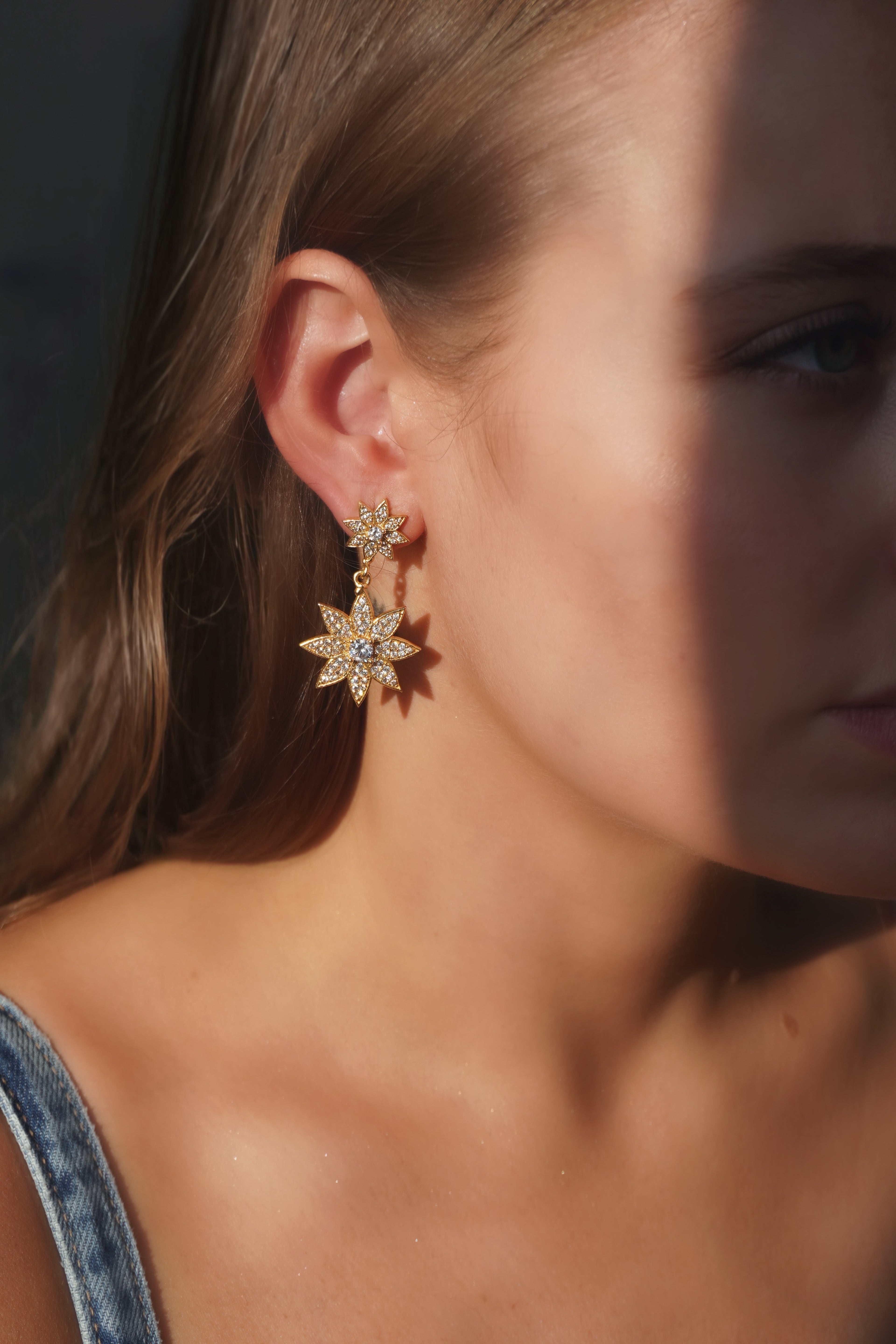 Aros Constelación Shine