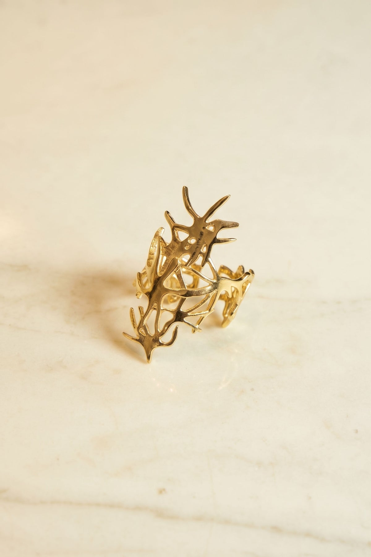 Anillo Eden