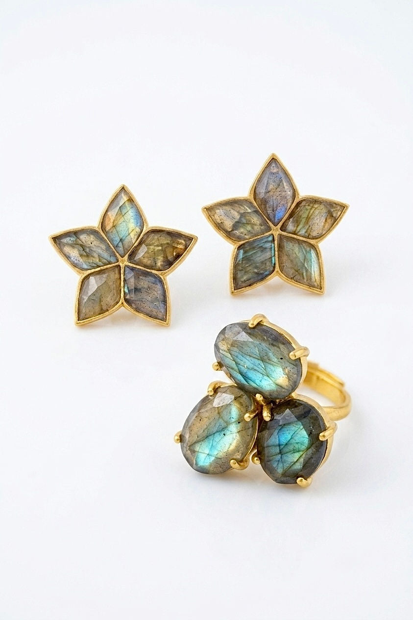 Anillo Sponh Labradorita