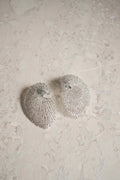Aros Caracola Plata