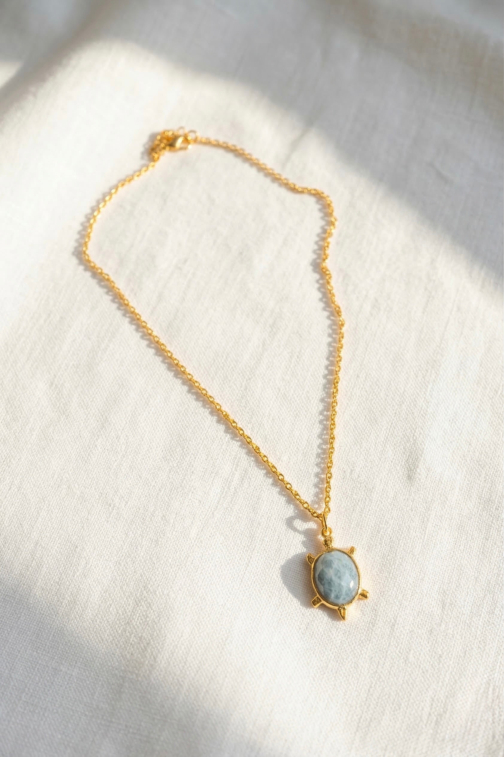 Collar Amulet Turtle
